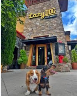 Lazy Dog Menu
